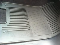 IMG_1510e.webp